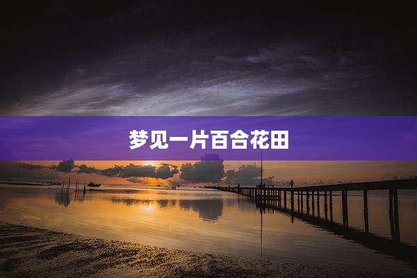 梦见一片百合花田