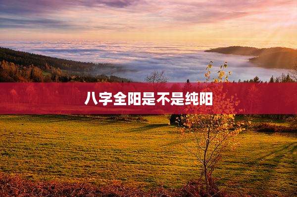 八字全阳是不是纯阳