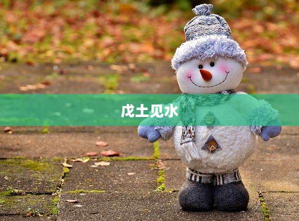 戊土见水
