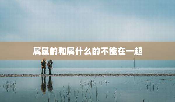 属鼠的和属什么的不能在一起