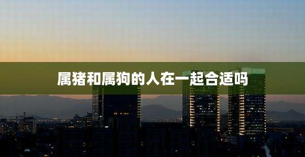 属猪和属狗的人在一起合适吗