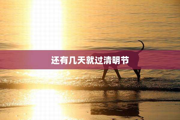 还有几天就过清明节
