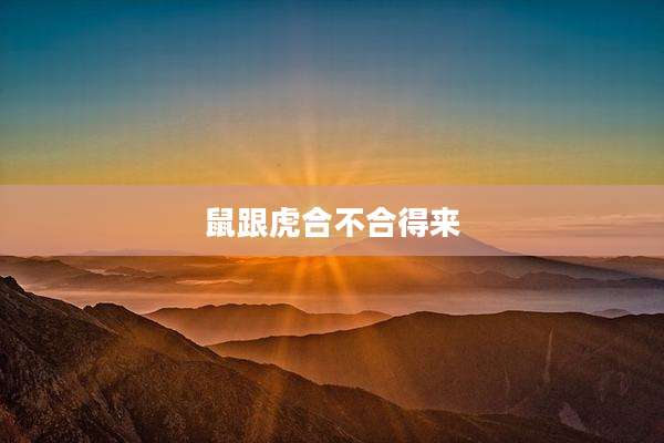鼠跟虎合不合得来