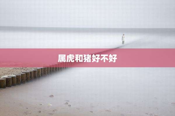 属虎和猪好不好