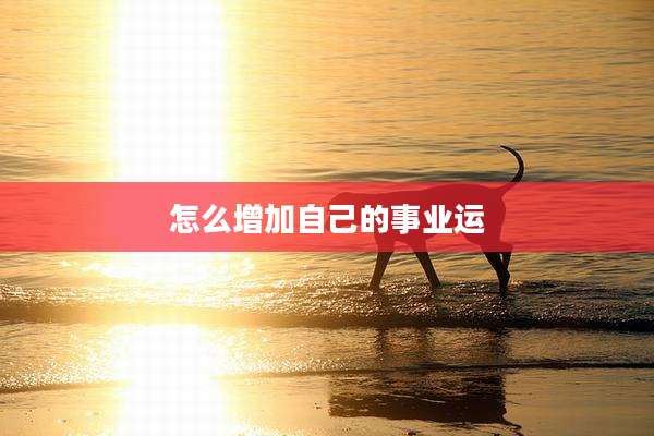 怎么增加自己的事业运