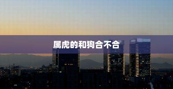 属虎的和狗合不合