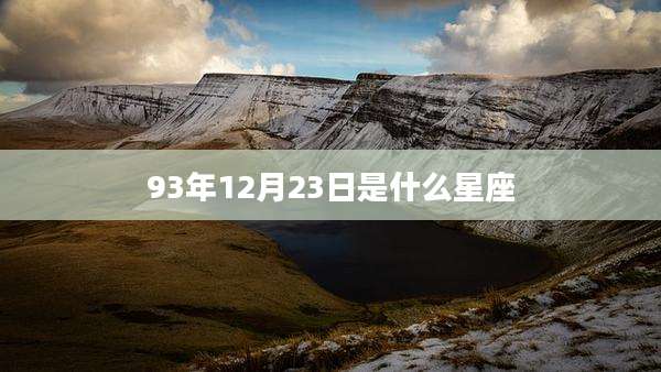 93年12月23日是什么星座