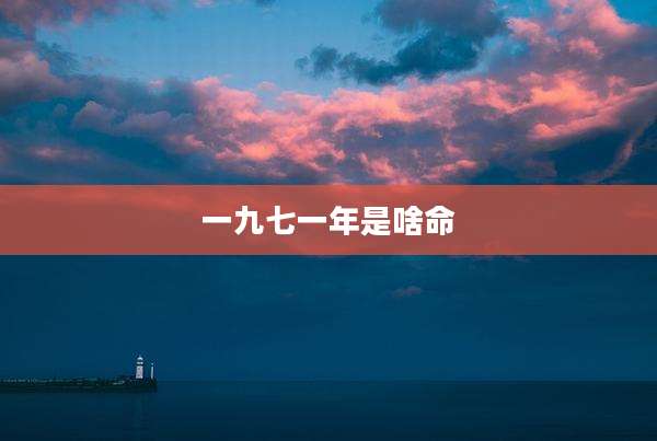 一九七一年是啥命