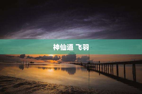 神仙道 飞羽