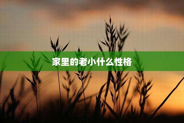 家里的老小什么性格