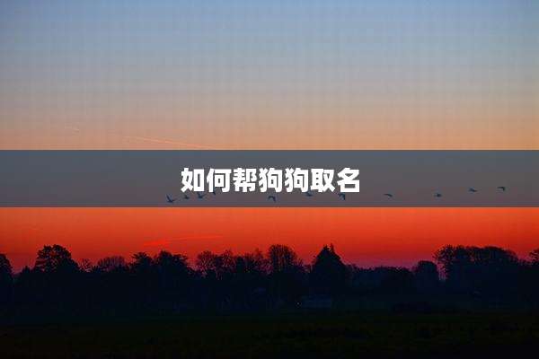 如何帮狗狗取名