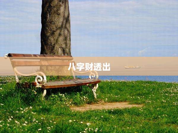 八字财透出