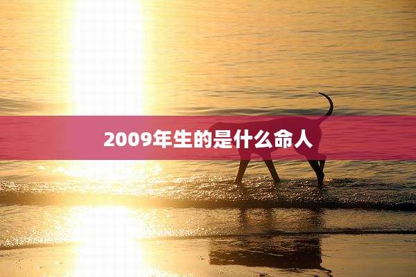 2009年生的是什么命人