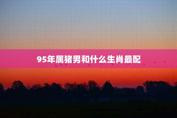 95年属猪男和什么生肖最配