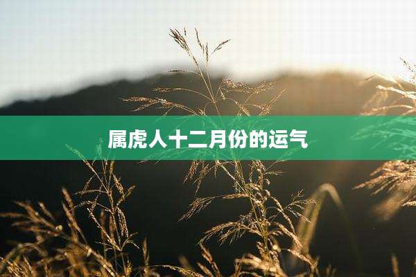 属虎人十二月份的运气