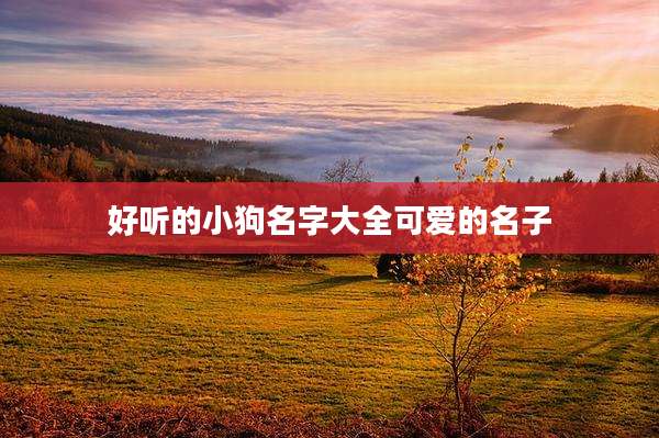 好听的小狗名字大全可爱的名子