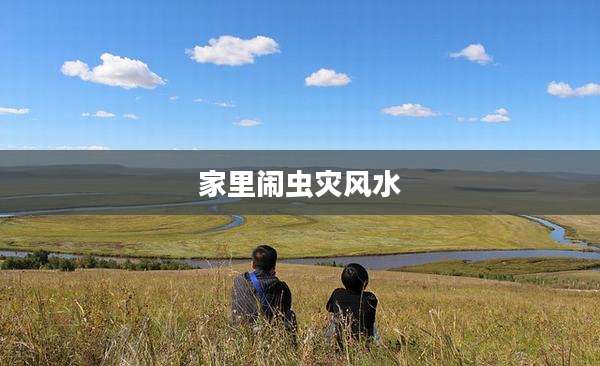 家里闹虫灾风水