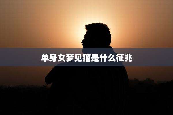 单身女梦见猫是什么征兆