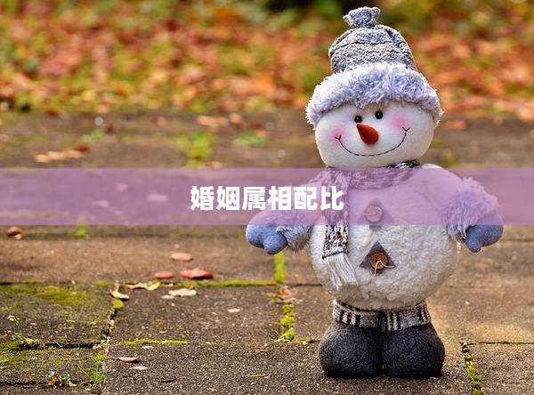 婚姻属相配比