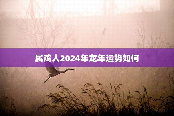属鸡人2024年龙年运势如何