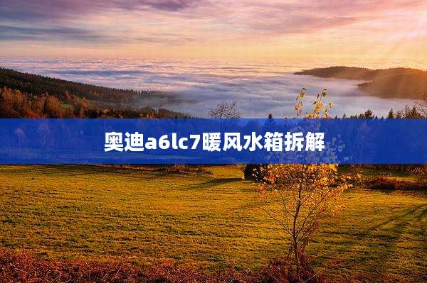 奥迪a6lc7暖风水箱拆解