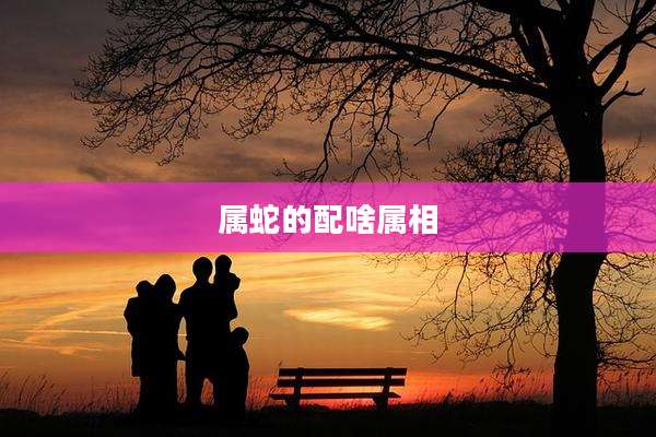 属蛇的配啥属相