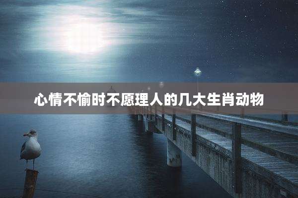 心情不愉时不愿理人的几大生肖动物