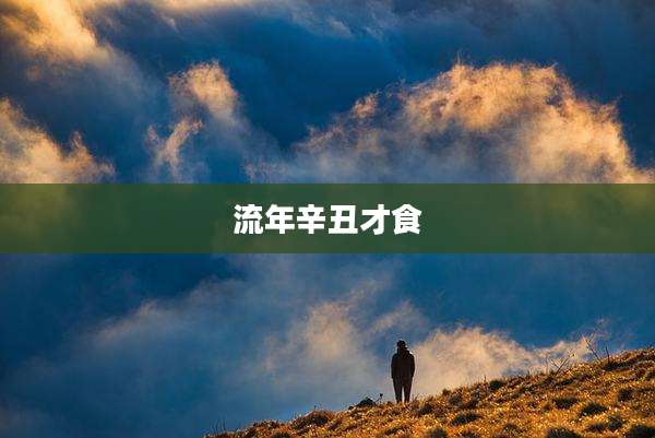 流年辛丑才食