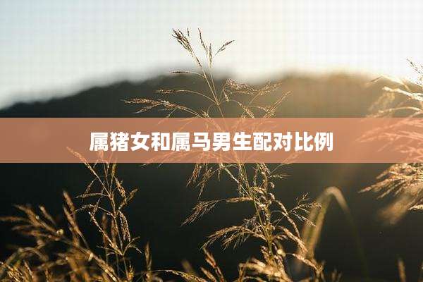 属猪女和属马男生配对比例