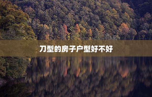 刀型的房子户型好不好