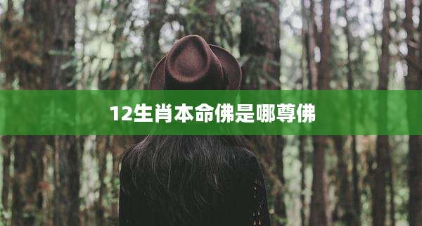 12生肖本命佛是哪尊佛