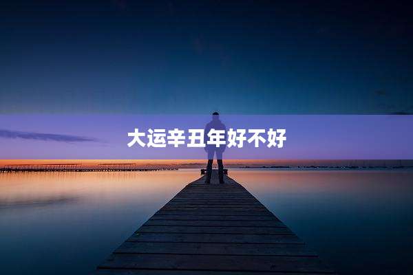 大运辛丑年好不好
