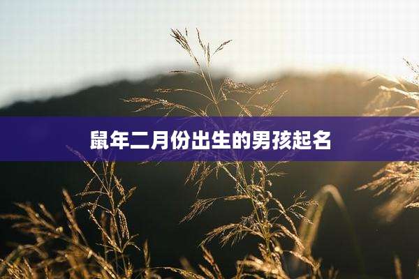 鼠年二月份出生的男孩起名