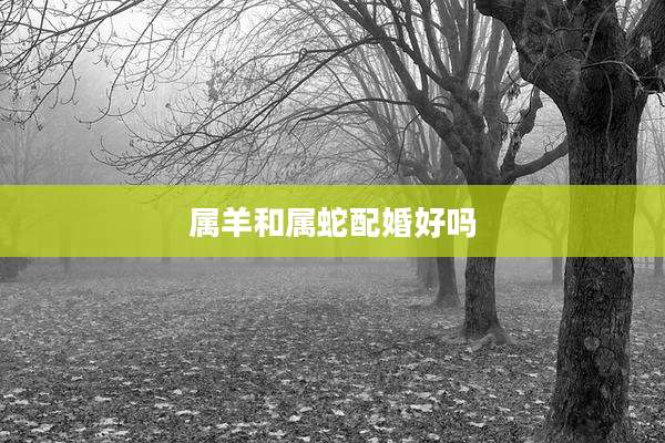 属羊和属蛇配婚好吗