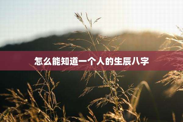 怎么能知道一个人的生辰八字