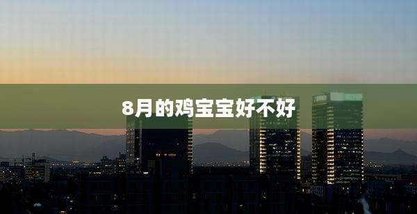 8月的鸡宝宝好不好