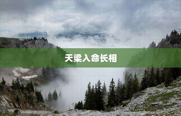 天梁入命长相