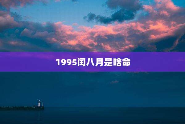1995闰八月是啥命