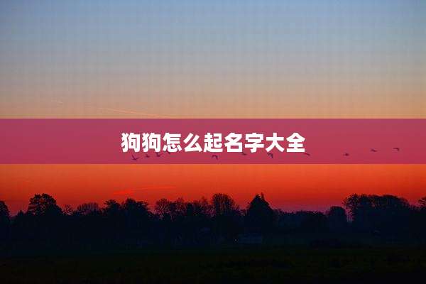 狗狗怎么起名字大全