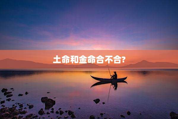 土命和金命合不合?
