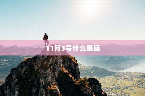 11月3号什么星座