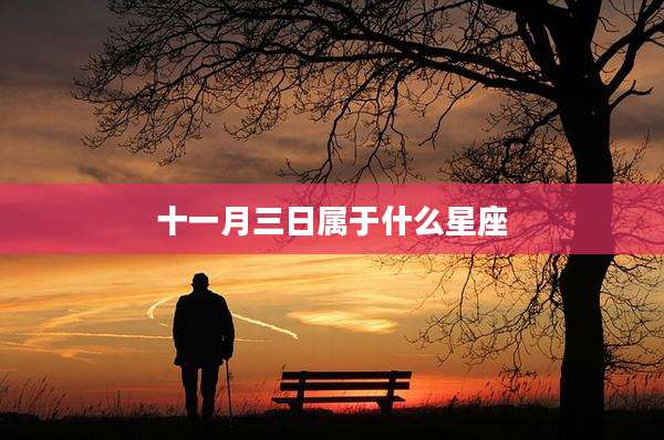 十一月三日属于什么星座