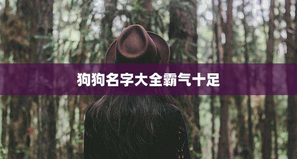 狗狗名字大全霸气十足
