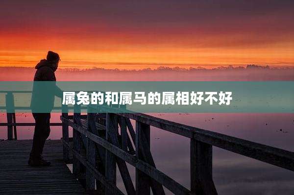 属兔的和属马的属相好不好