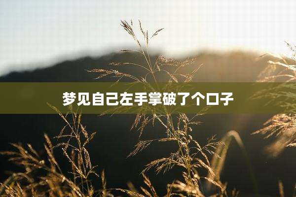 梦见自己左手掌破了个口子