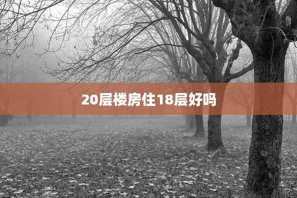 20层楼房住18层好吗