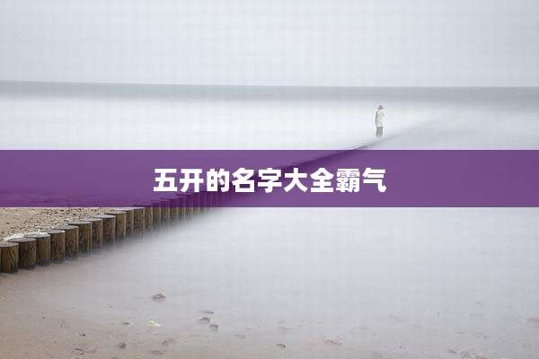 五开的名字大全霸气