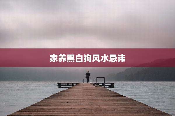 家养黑白狗风水忌讳