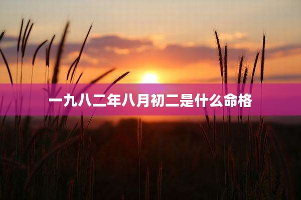 一九八二年八月初二是什么命格