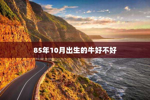 85年10月出生的牛好不好
